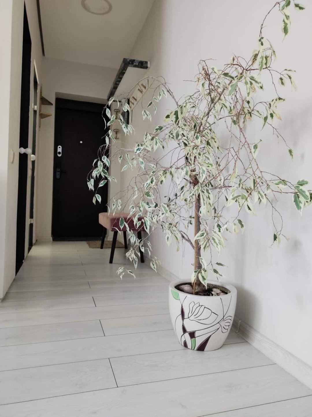 Apartamentai Miesto Centre Šiauliai Exteriér fotografie